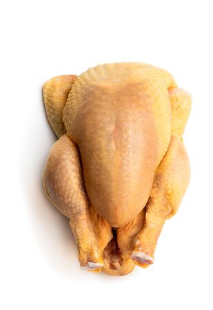 Raw whole  corn fed poussin isolated on white の写真素材