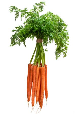 Bunch  of new carrots isolated on whiteの写真素材