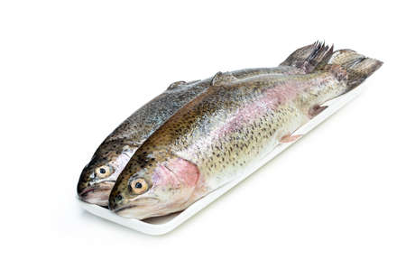 Fresh  raw rainbow trout fish isolated on whiteの写真素材