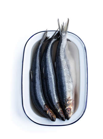 Sliced  salted herring in enameled bowl isolated on whiteの写真素材