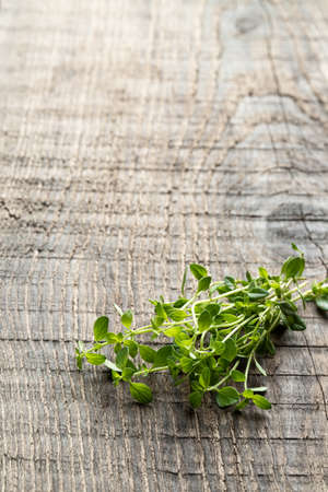 Brunch of lemon balm herb on rustic wooden tableの写真素材