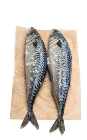 fresh mackerels with salt on baking paper isolated on whiteの写真素材