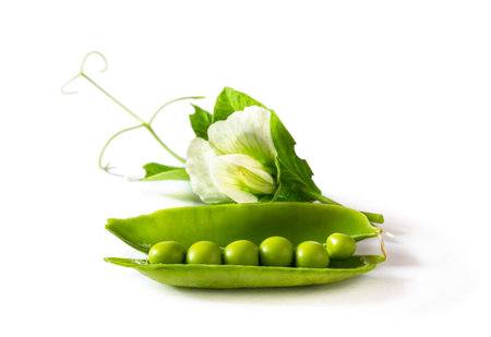 Fresh green pea in the pod with flower isolated on white