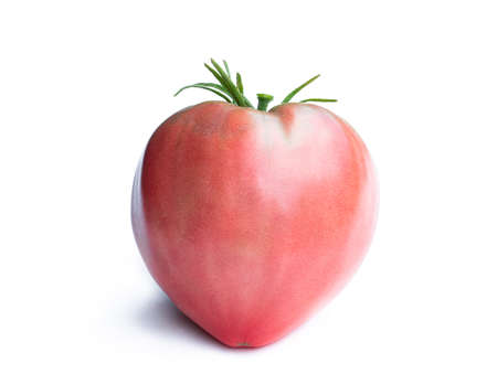 Big heart  shaped tomato isolated on whiteの写真素材