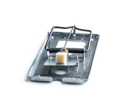 Steel mouse or rat trap with a piece of cheese bait isolated on whiteの写真素材