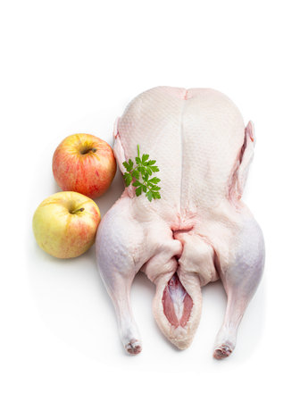 Raw whole duck with fresh apples isolated on whiteの写真素材