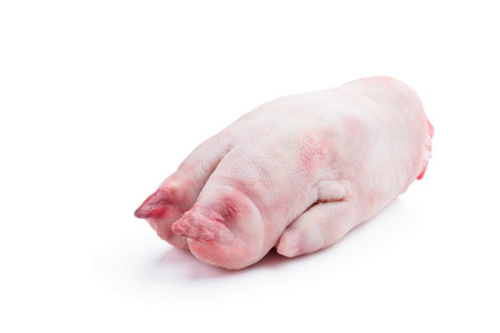 Raw pork leg isolated on a white backgroundの写真素材