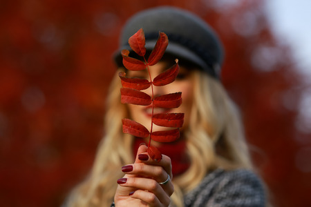 Portrait of beautiful young woman with autumn leafs. Red maple garden background.の写真素材