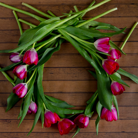 Wreath of raspberry tulips on wooden background. Gift on 8 march, womens dayの写真素材