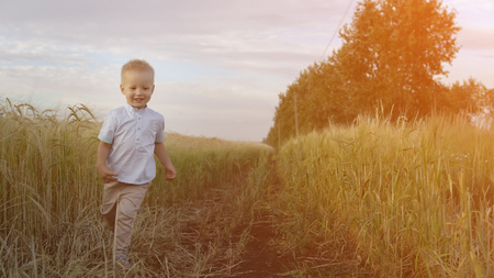 Little boy runs through a wheat field. Summer nature, walking outdoors. Child happiness. Happy childhoodの写真素材
