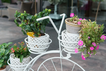 Flower pots on an old decorated bicycle, close upの写真素材