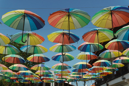 Multicolored open umbrellas suspended over an alley on a sunny day.の写真素材