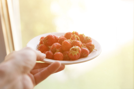 Fresh strawberries on a window background, sunlight.の写真素材