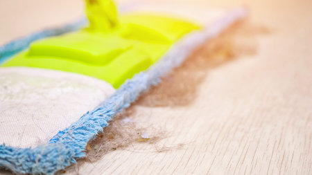 Contemporary colorful soft mop and shreds of fur, dust and wool on wooden floor in light room during...