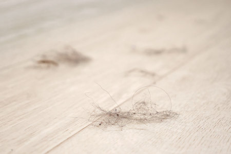 Shreds of hair with dust and dirt blown by soft air flow on modern wooden floor in light room during...