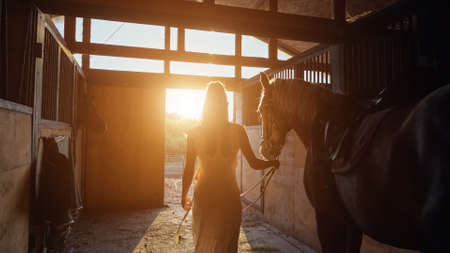 Lady model in long dress silhouette walks with horse along stable to gate and holds bridle against bright morning sunlight backside viewの写真素材