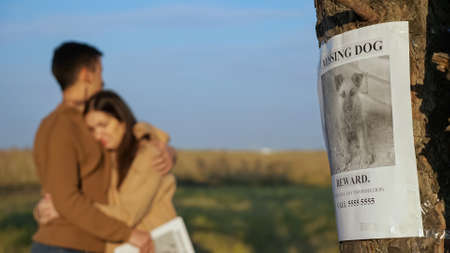 Upset couple with paper posters hugs standing in autumn park focus on report of missing dog with picture hanging on tree trunk close viewの写真素材
