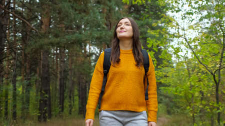 Positive young woman wearing stylish orange sweater walks along rural road through green forest with old pines at weekend on autumn dayの写真素材
