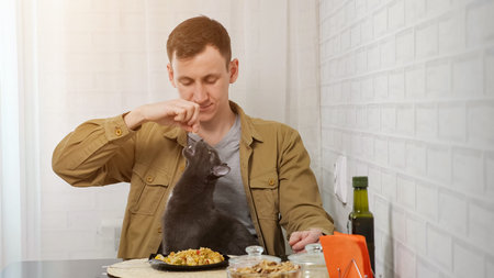 Young man enjoys breakfast in kitchen in early morning. Owner feeds black domestic cat with...