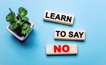 LEARN TO SAY NO written on wooden blocks near a plant in a pot on a light blue background.