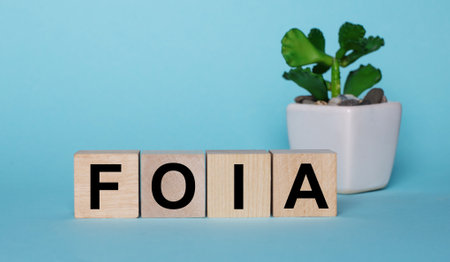On a blue background, on wooden cubes near a plant in a pot FOIA The Freedom of Information Act FOIA on a table is writtenの写真素材
