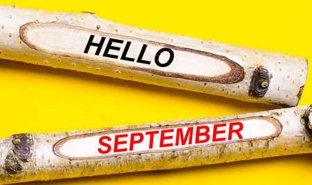 On a bright yellow background, two light wooden pencils with the words HELLO SEPTEMBER.の写真素材