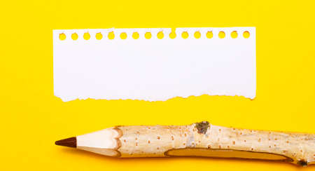 On a bright yellow background, a large wooden pencil and a sheet of torn paper with a place to insert text.の写真素材