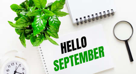 On a light background, there is a white alarm clock, a magnifying glass, a green plant and a notebook with the words HELLO SEPTEMBER.の写真素材