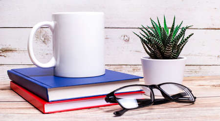 On a light table are diaries, a potted plant, black-framed glasses and a white cup with space to insert text.の写真素材