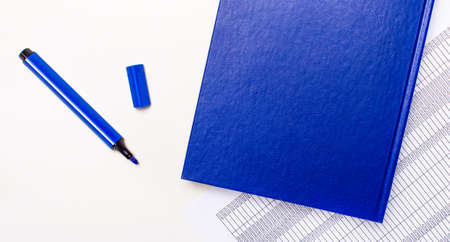On a white background reports, a blue pen and a blue notepad with place to insert text. Templateの写真素材