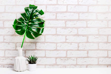 Stylish space with a monstera leaf in a vase, a small potted plant at home or in a studio with a white brick background on a shelf. Mock up frame isolated. Stylized still lifeの写真素材