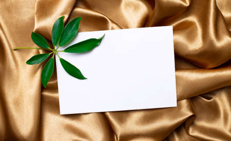 On the beautifully curved golden silk is a sheet of schefflers and a white blank card with a place to insert text. Templateの写真素材