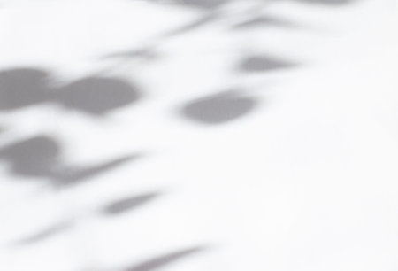 Shadows of leaves on a light background. photo overlay effect. minimal concept. creative copy space....