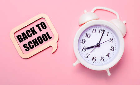 On a delicate pink background, a white alarm clock and a wooden frame with the text BACK TO SCHOOLの写真素材