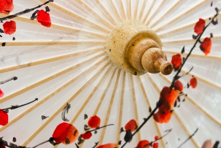 The details of the description of paper umbrellas の写真素材