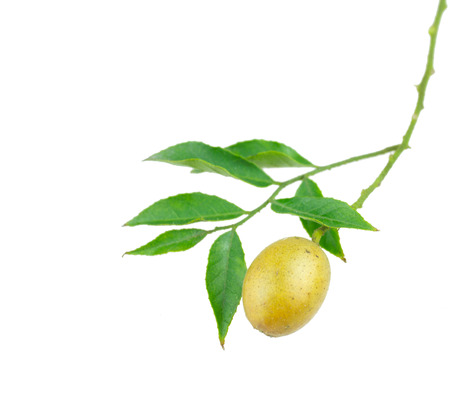 Fresh fruits with leaf isolated on white backgroundの写真素材