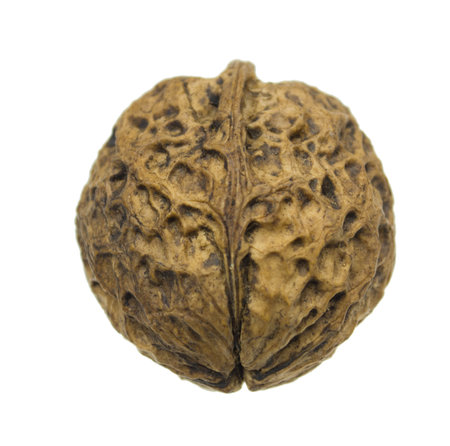 Dried walnuts isolated on white background