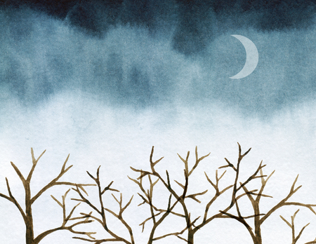 Bare trees branches backgroundの写真素材