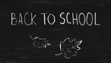 Back to school chalkboardの写真素材