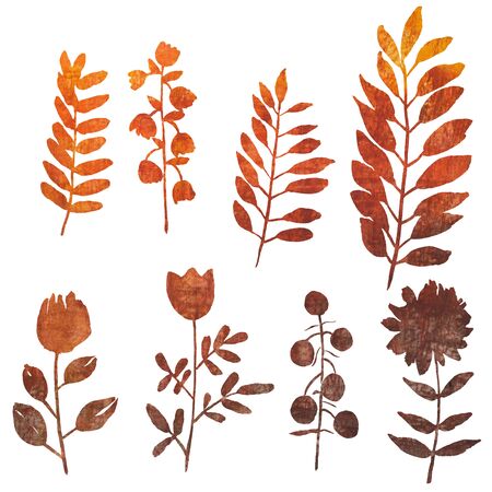 Autumn floral texture. Abstract watercolor free hand drawn illustration for wrapping, background, textileの写真素材