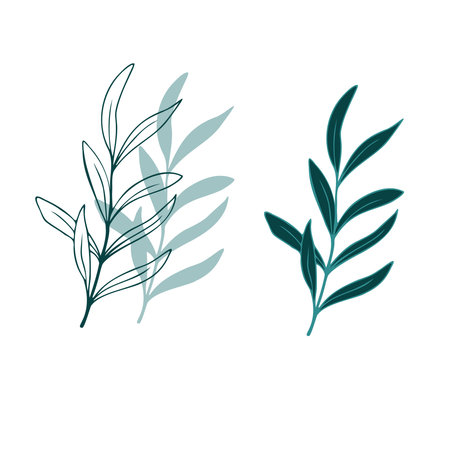 Olive branch line art shadowのイラスト素材