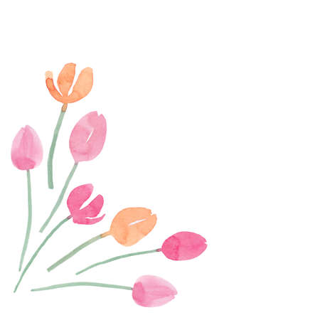 Simple tulips setの写真素材