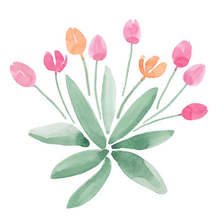 Simple tulips setの写真素材