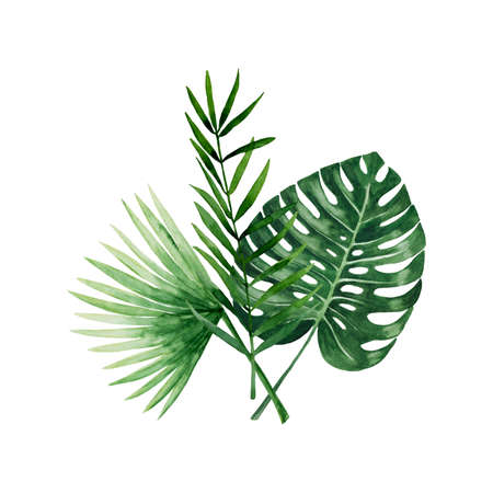 Green tropical leaf bouquetの写真素材