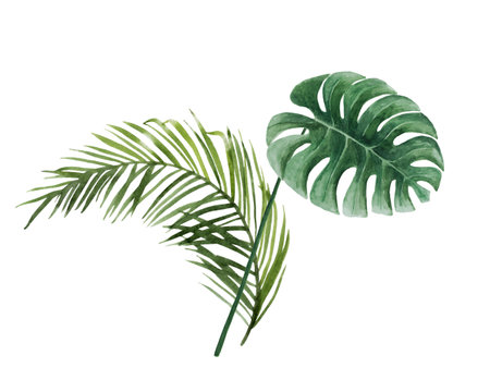Green tropical leaf bouquetの写真素材