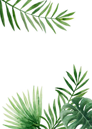 Tropical leaves card templateの写真素材