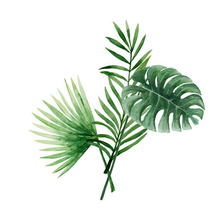 Green tropical leaf bouquetの写真素材