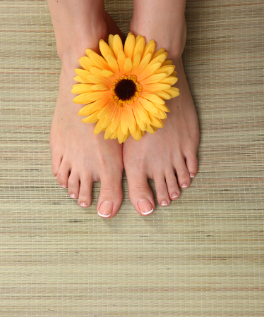 Beautiful feet with perfect spa french nail pedicure .の写真素材