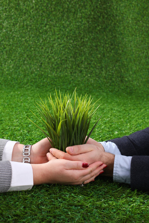 Two pairs of hands gently holding young plant shoots.の写真素材