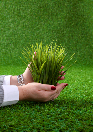 Two pairs of hands gently holding a young plant.の写真素材